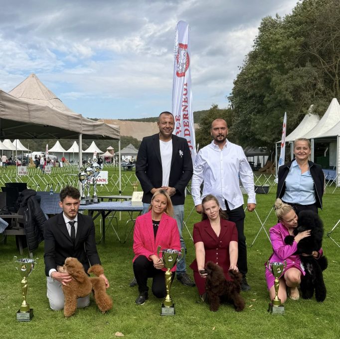İstanbul Poodle Speciality Show 2025